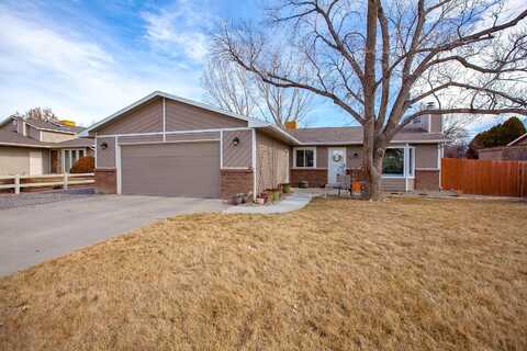 Pioneer, GRAND JUNCTION, CO 81504