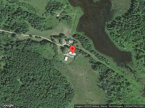 Choke Cherry, MARCELL, MN 56657