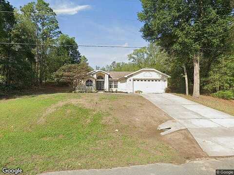 Vince, CITRUS SPRINGS, FL 34434