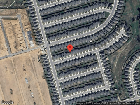 Gerardia, SEGUIN, TX 78155