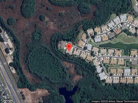 Cleopatra, LAND O LAKES, FL 34637