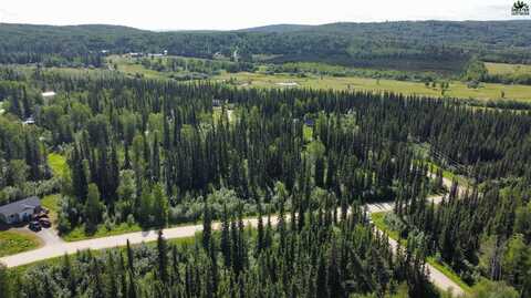 L20B3 NHN BRIGHTON DRIVE, Fairbanks, AK 99712