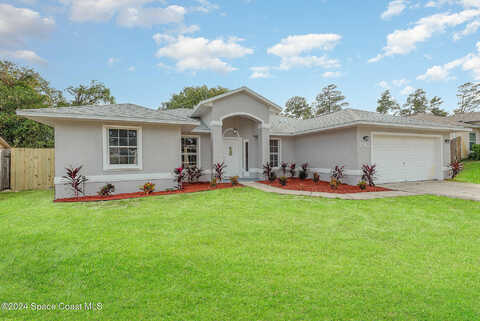 Tangle, TITUSVILLE, FL 32796