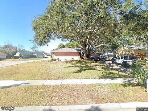 Arbor, PALM HARBOR, FL 34683