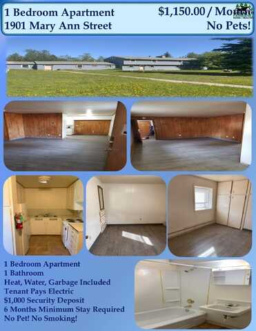 1901 MARY ANN STREET, Fairbanks, AK 99701