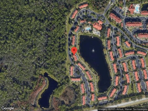 Yellow Lantana, KISSIMMEE, FL 34747
