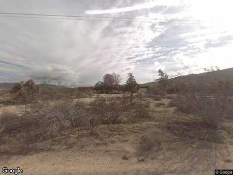Joshua, APPLE VALLEY, CA 92308
