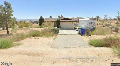 Sunflower, YUCCA VALLEY, CA 92284