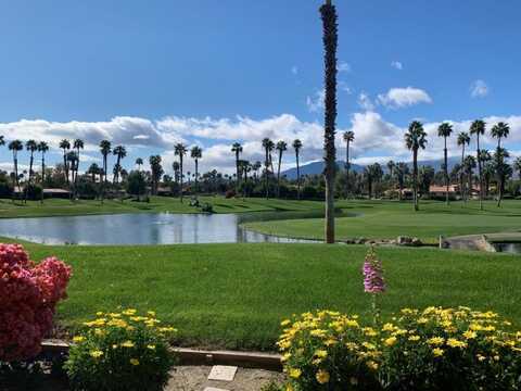 Crocus, PALM DESERT, CA 92211