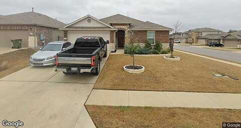 Empress Tree, LEANDER, TX 78641
