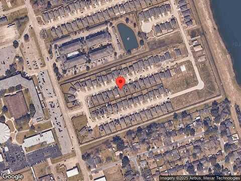 Paso Fino, ALVIN, TX 77511
