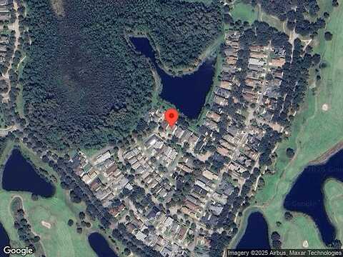 Buttonbush, HARMONY, FL 34773