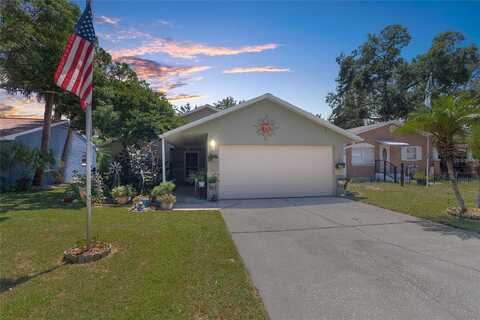 Montana, NEW PORT RICHEY, FL 34653