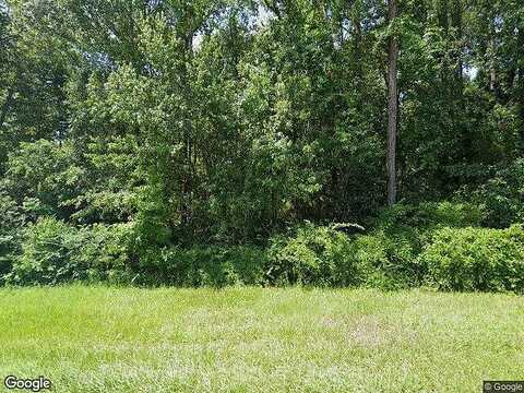 Brown, LAMONT, FL 32336