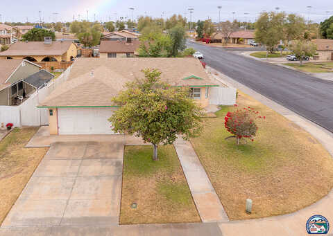 Eucalyptus, BRAWLEY, CA 92227