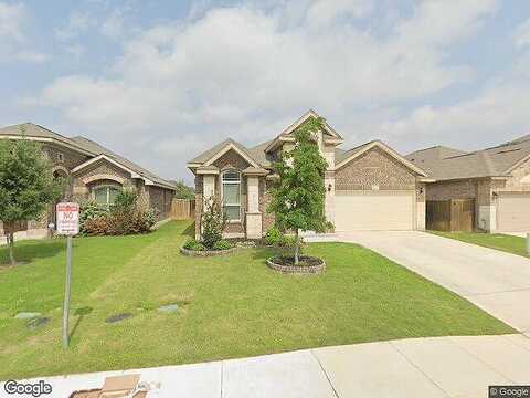 Bricewood Tree, SAN ANTONIO, TX 78254