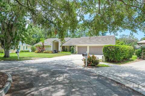 Cobbs, PALM HARBOR, FL 34684