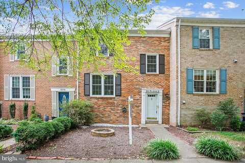 Luce, SPRINGFIELD, VA 22153