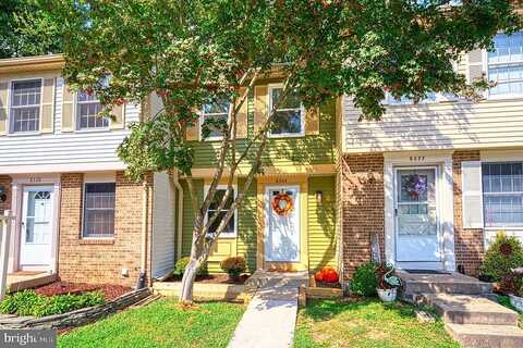 Bark Tree, SPRINGFIELD, VA 22153