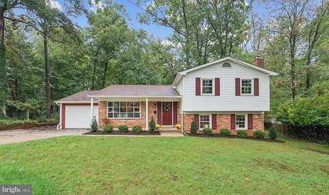 Dolce, ANNANDALE, VA 22003