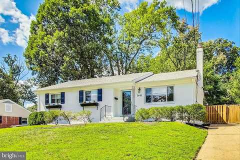 Essex, SPRINGFIELD, VA 22150