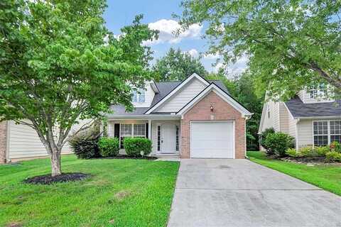 White Walnut, BRASELTON, GA 30517