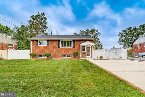 Ash, SPRINGFIELD, VA 22150
