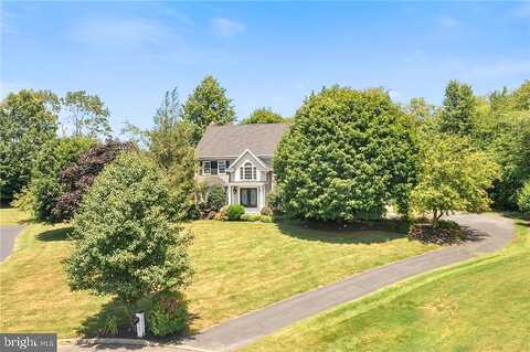 Natalie, COOPERSBURG, PA 18036
