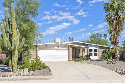 Gazelle, TUCSON, AZ 85742