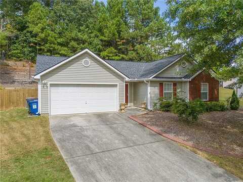 Raptor, SNELLVILLE, GA 30039