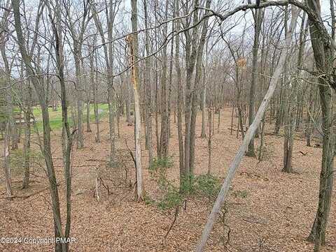 Moseywood, LAKE HARMONY, PA 18624