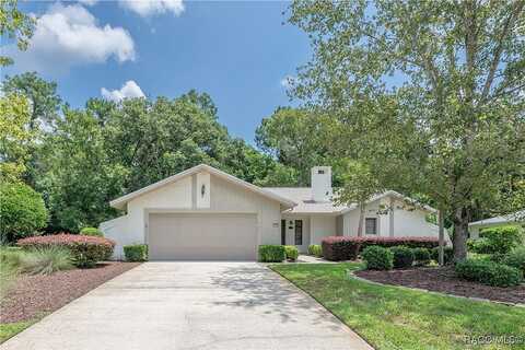 Wild Olive, HOMOSASSA, FL 34446