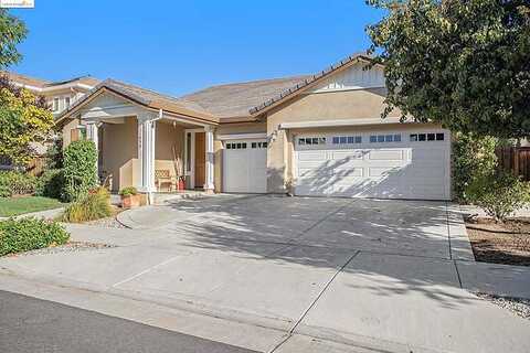 Ray, BRENTWOOD, CA 94513
