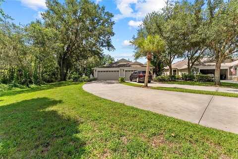 Phoebenest, LITHIA, FL 33547