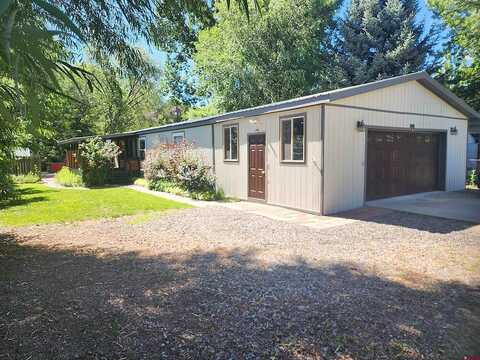 Box Elder, PAONIA, CO 81428