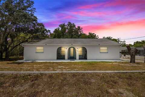 Camelia, TARPON SPRINGS, FL 34689