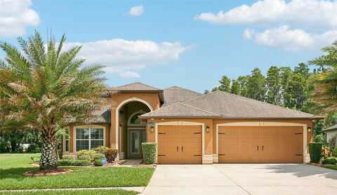 Diamonds Palm, WESLEY CHAPEL, FL 33543