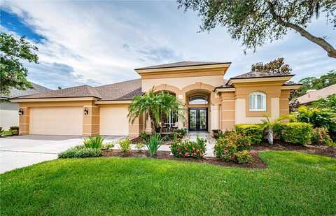 Ayron, PALM HARBOR, FL 34685