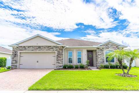 Tigris, APOPKA, FL 32712