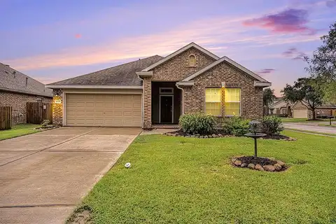 Palmetto, DICKINSON, TX 77539