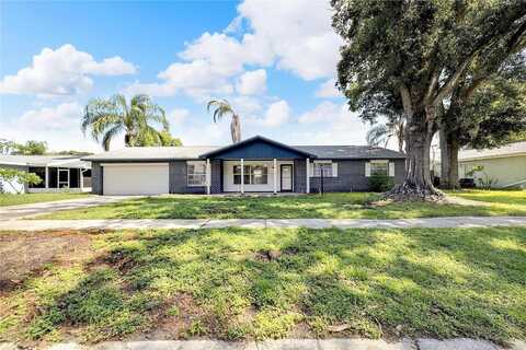 Sunnybank, VALRICO, FL 33594