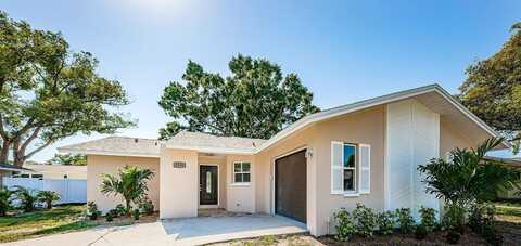 Spanish Moss, PALM HARBOR, FL 34684