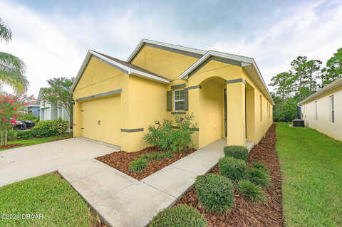 Taton, NEW SMYRNA BEACH, FL 32168
