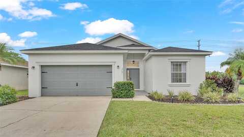 Sandhill Crane, LAKELAND, FL 33811