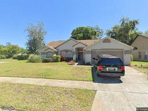 Musselshell, NEW PORT RICHEY, FL 34655