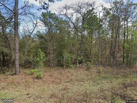 Sw 136Th Ter, Dunnellon, FL 34432