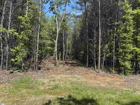 1940 Pleasant Hill Road, Greer, SC 29651