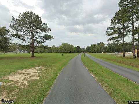 Lake Alapaha Blvd, Naylor, GA 31641