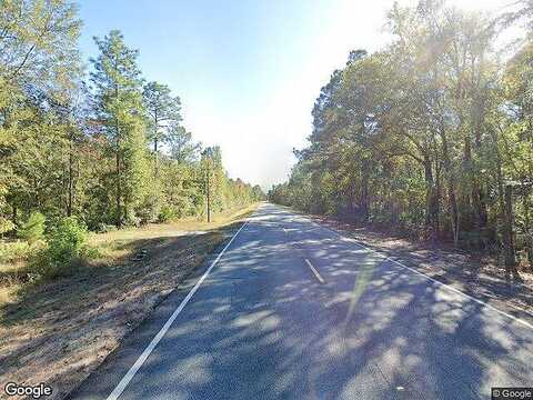 Ga Highway 251, Townsend, GA 31331