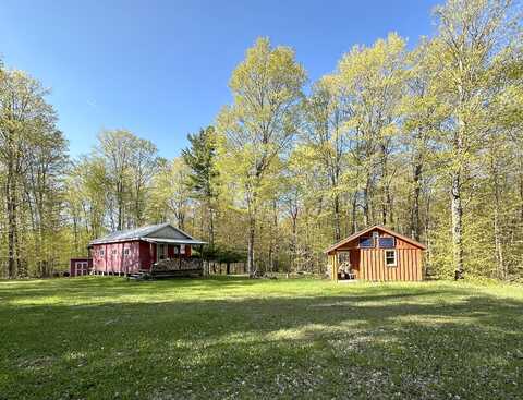 Atwood, NEWBERRY, MI 49868